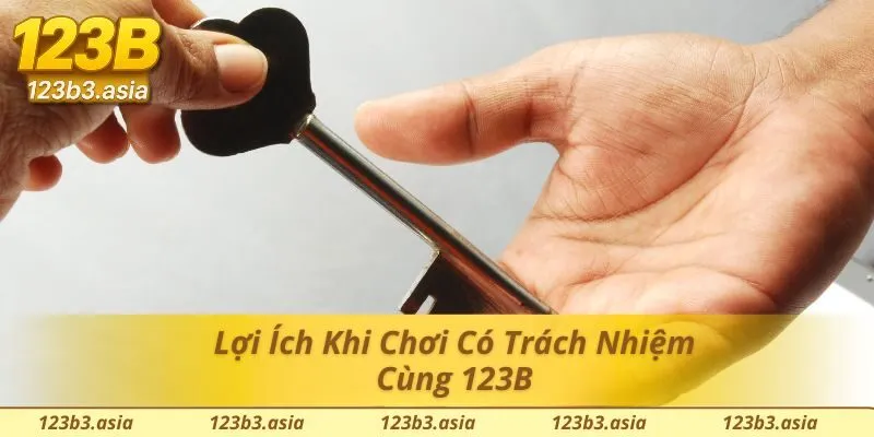 Lợi ích từ việc chơi có trách nhiệm 123b