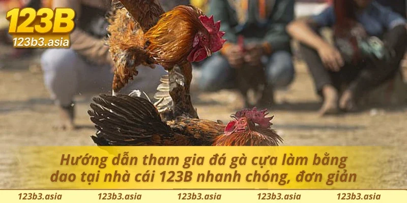 Hướng dẫn tham gia đá gà