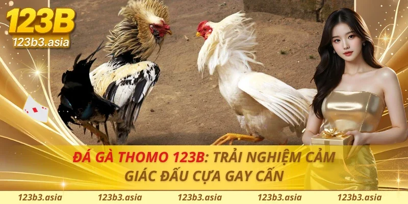 Đá Gà Thomo 123B