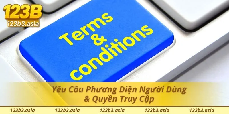 Những yêu cầu về điều khoản điều kiện