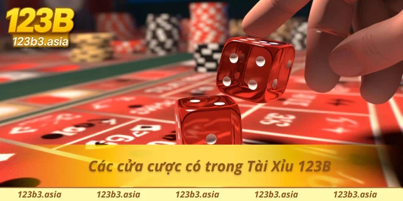 Những cửa cược mọi người sẽ đặt khi tham gia Tài Xỉu