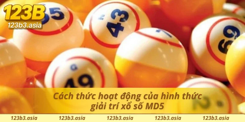 Tìm hiểu sự minh bạch của xổ số siêu tốc MD5
